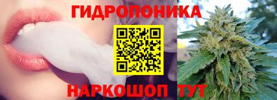 соль ск Будённовск