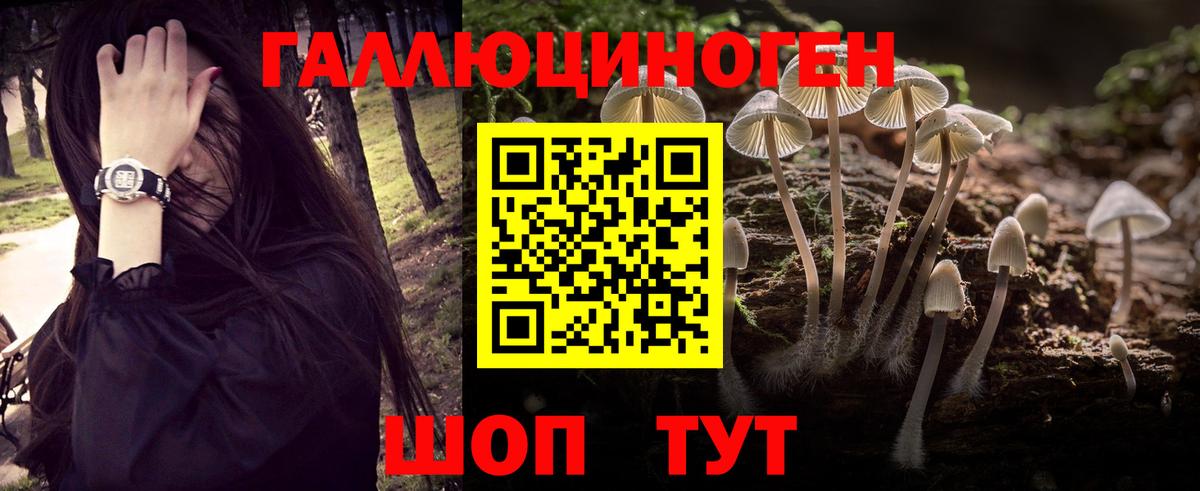 Галлюциногенные грибы MAGIC MUSHROOMS  Галлюциногенные грибы Psilocybe  Вход с VPN  Серов 